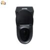 10 Glossy White One-Piece Ceramic Toilet 1.1/1.6 GPF Dual Flush with Soft Close Seat Close Seat 4 colors to choose from