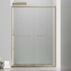 1010 Frameless Double Sliding Shower Door S15