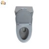 15 Glossy White One-Piece Ceramic Toilet 1.1/1.6 GPF Dual Flush with Soft Close Seat Close Seat 4 colors to choose from