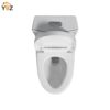 5 Glossy White One-Piece Ceramic Toilet 1.1/1.6 GPF Dual Flush with Soft Close Seat Close Seat 4 colors to choose from