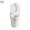 Light Grey Siphonic 1.6 GPF Dual Flush Ceramic One-Piece Toilet with Soft Close Seat 3 colors to choose from