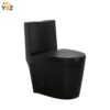 6 Glossy White One-Piece Ceramic Toilet 1.1/1.6 GPF Dual Flush with Soft Close Seat Close Seat 4 colors to choose from