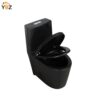 9 Glossy White One-Piece Ceramic Toilet 1.1/1.6 GPF Dual Flush with Soft Close Seat Close Seat 4 colors to choose from