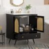 2 30 Inch Black Mid-Century Rattan Freestanding Single Sink Bathroom Vanity with Gold Knobs