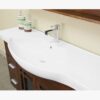 48" Freestanding Single Sink Vanity Cabinet for Farmhouse & Traditional Bathroom Remodel