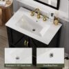 30 Inch Black Farmhouse Barn Door Single Sink Bathroom Vanity with RGB LED Light & Over-the-Door Storage
