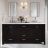 1 Modern Espresso Double Sink Vanity Soft Close Drawers Multi-Zone Classified Storage Layout