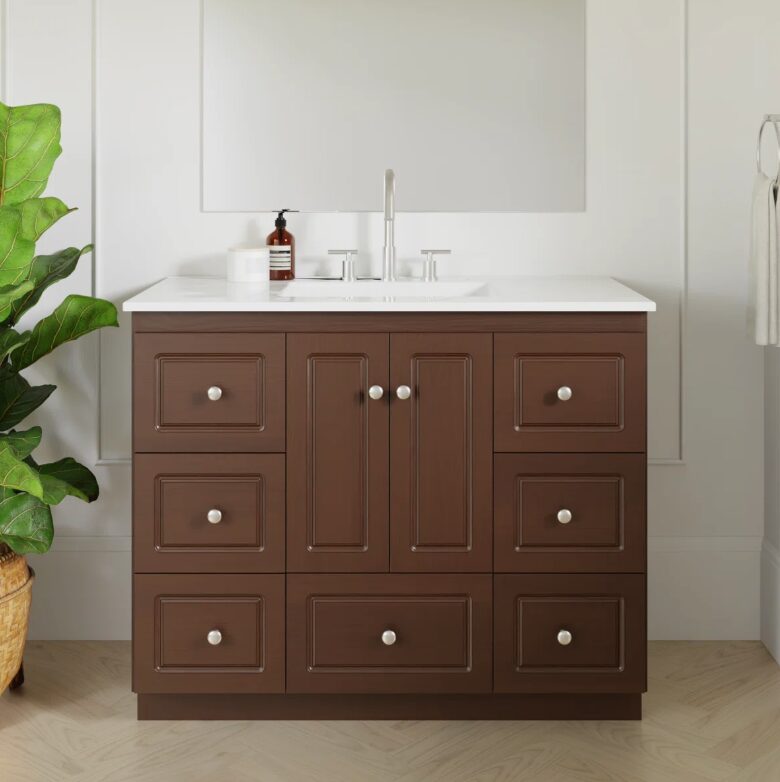 Classic Espresso Shaker Vanity Base Cabinet with Soft Close Storage for Farmhouse Bath Remodel